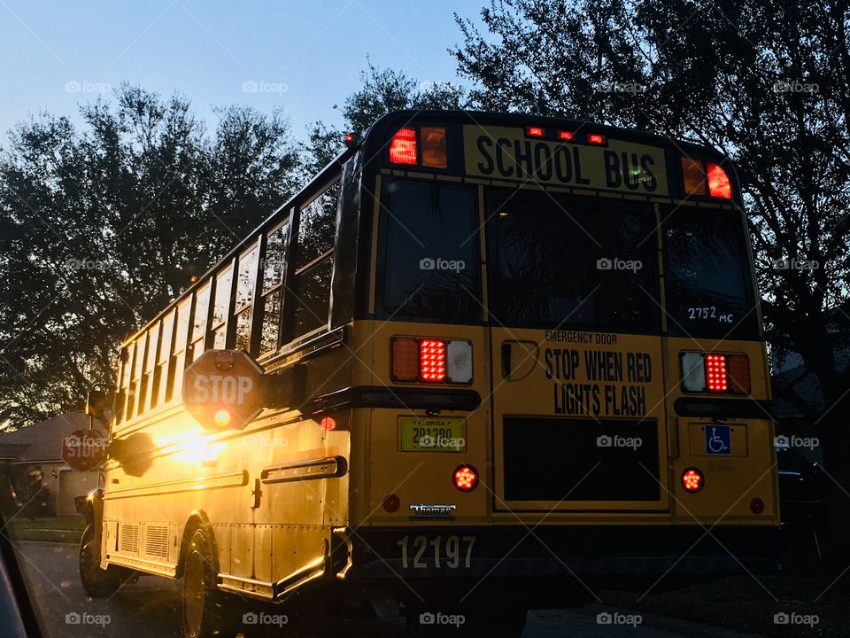 School bus in the Florida morning Sun ☀️