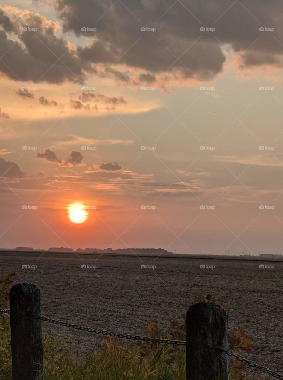 Sunset on the field