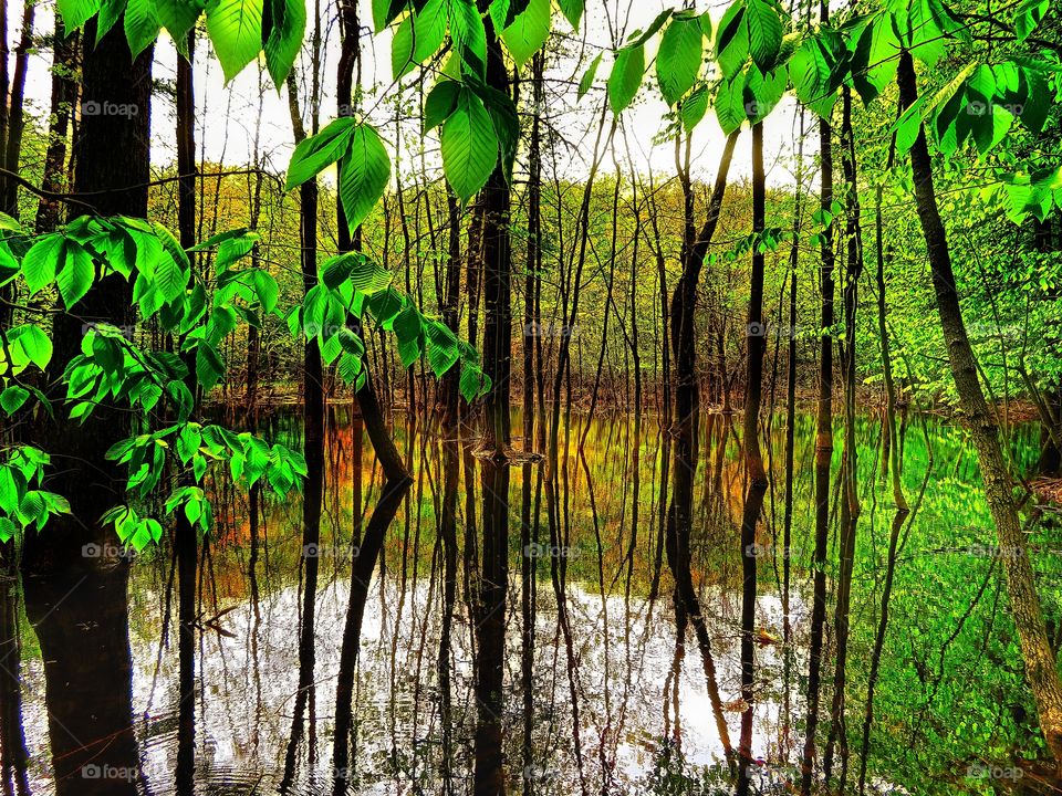 Parc Mont St-Bruno Québec 