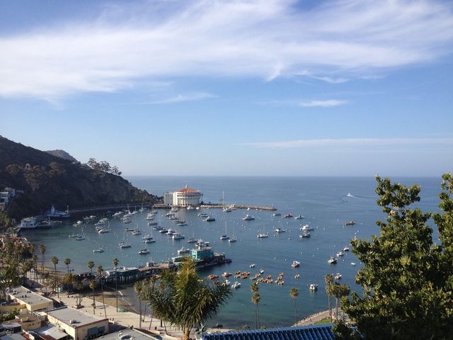 Catalina
