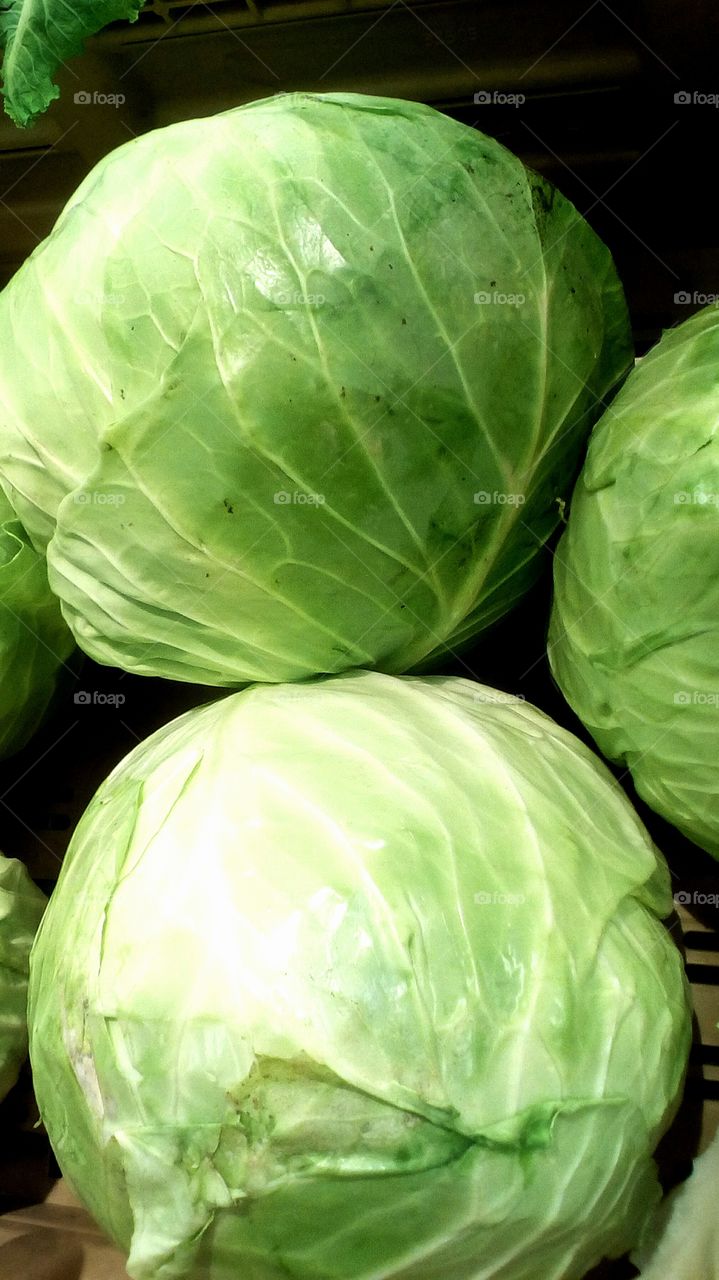 Big round green healthy bright cabbage
in market