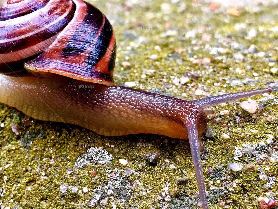 Captured with iPhone 6s Plus 