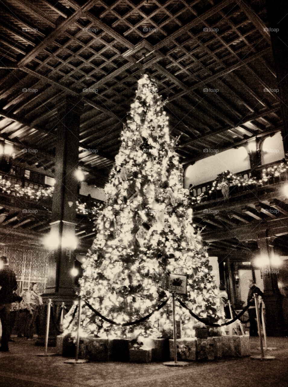 tree christmas hotel holiday by darrellalonzi
