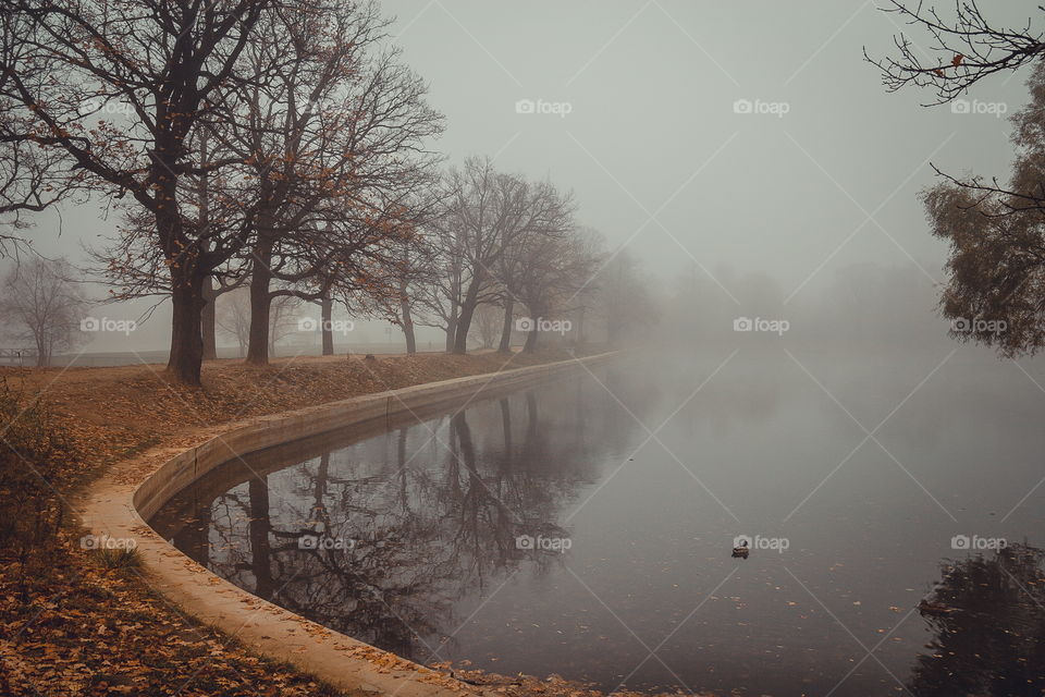 Misty landscape with pond in late autumn 