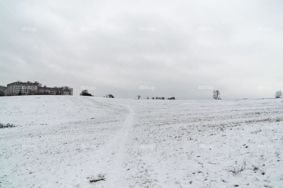 winter meadow covered with snow. Slovakia