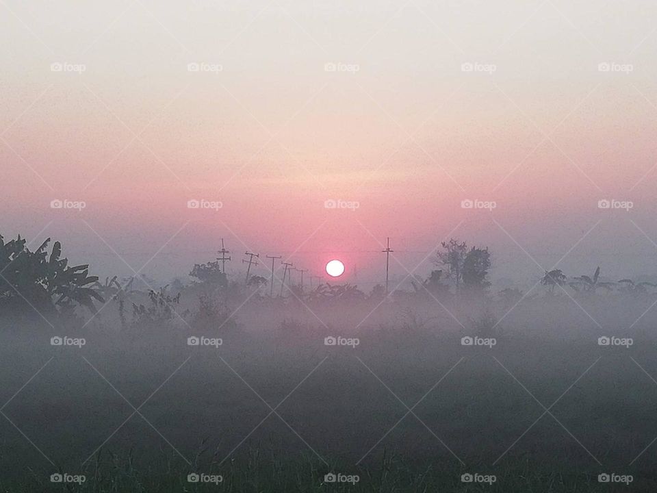 Editors ‘ choice : photo of the week, Thailand.