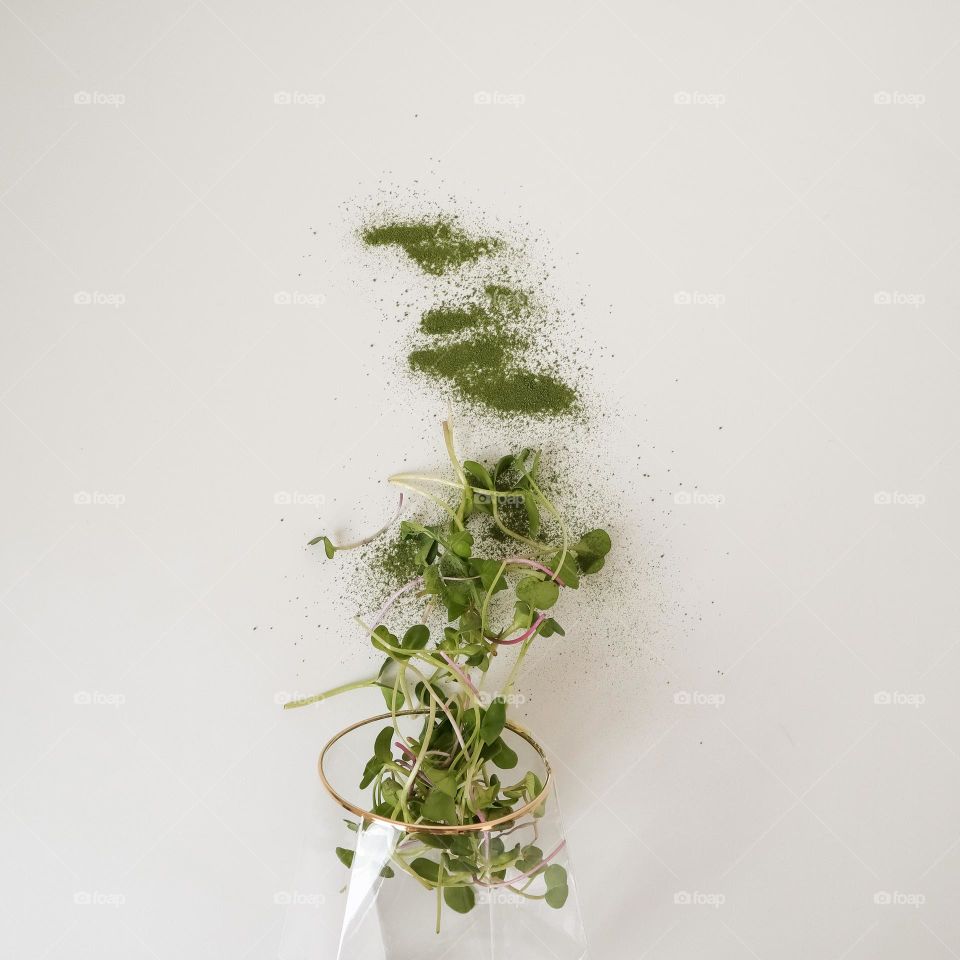 Powder from greens