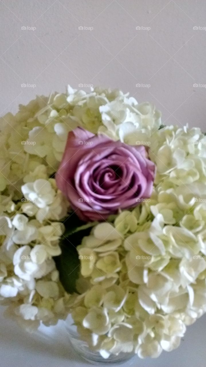 A white floral crown for a rose