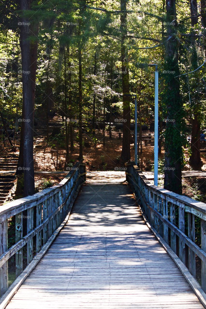 Dock at Caddo Lake