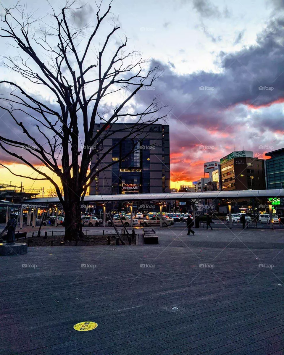 sunset in the city