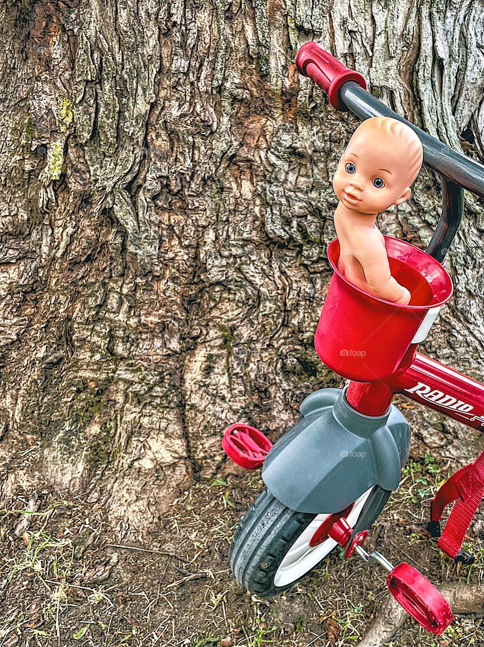Radio Flyer tricycle left by a tree, baby doll abandoned with bike, toddler leaves bike and doll, lonely bicycle, Radio Flyer bike left outside
