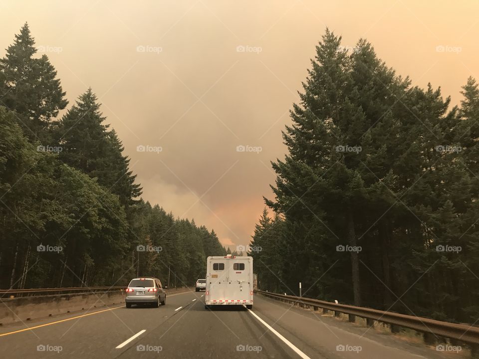 Eagle Creek Fire