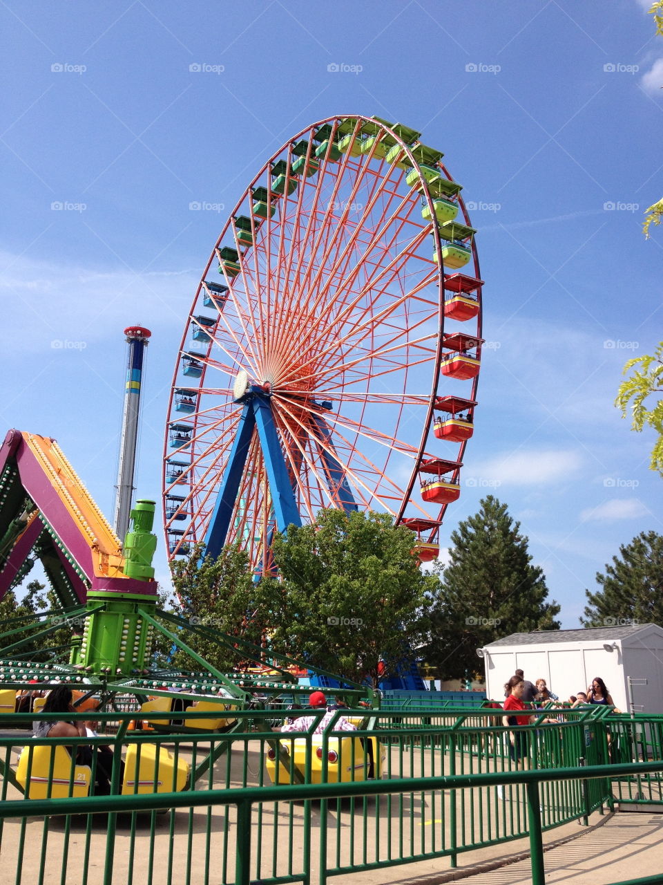 Ferris Wheel. Cedar Point
Sandusky, Ohio