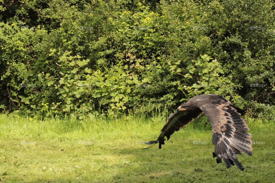 Landing time