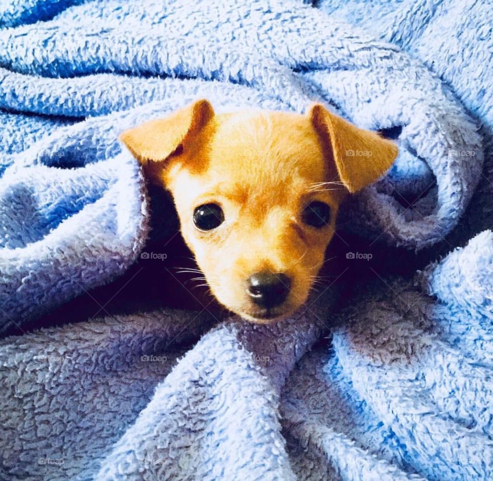 Vida de modelo não é fácil !