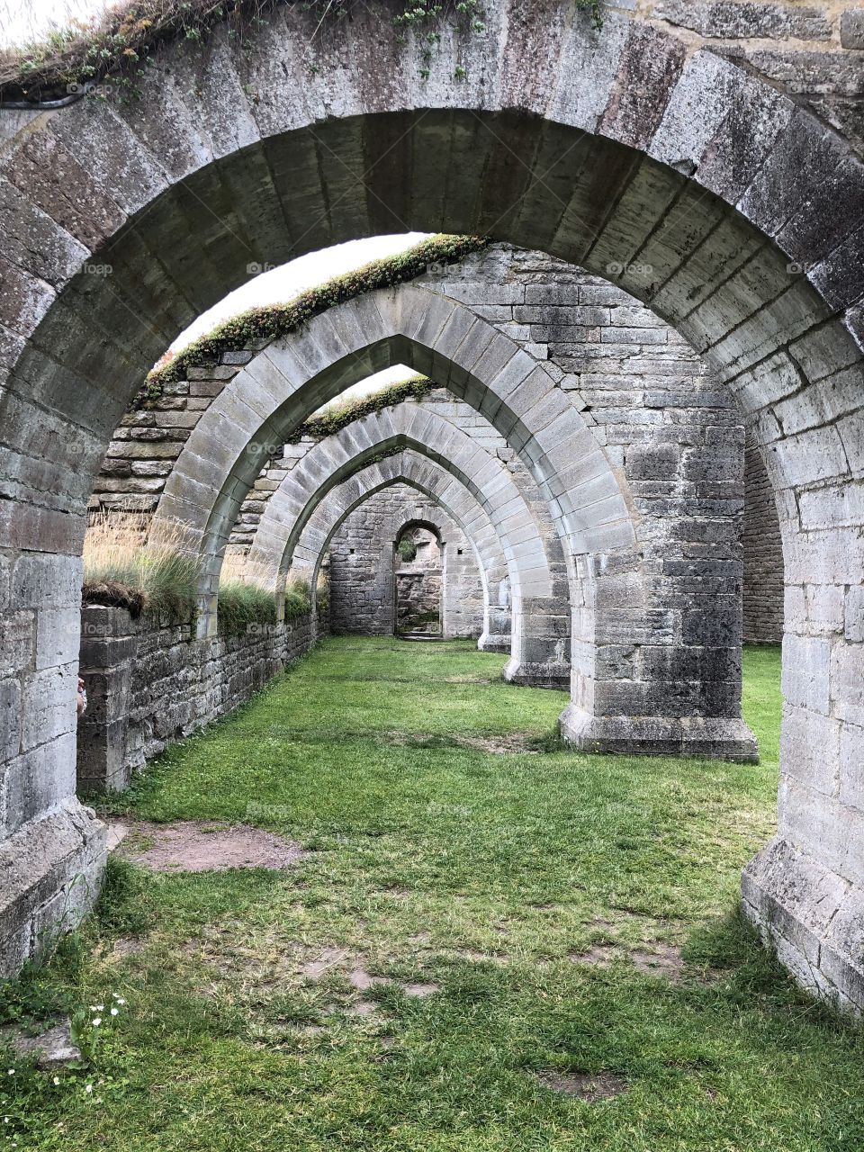 Alvastra monastery ruin