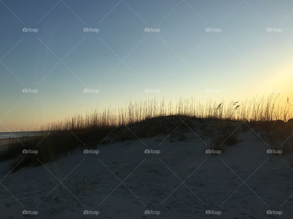 Landscape, Sunset, Dawn, Winter, Fog