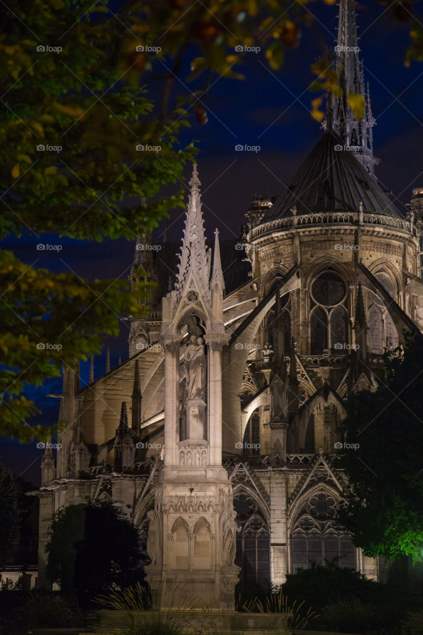 Notre Dame de Paris on a July evening in 2017