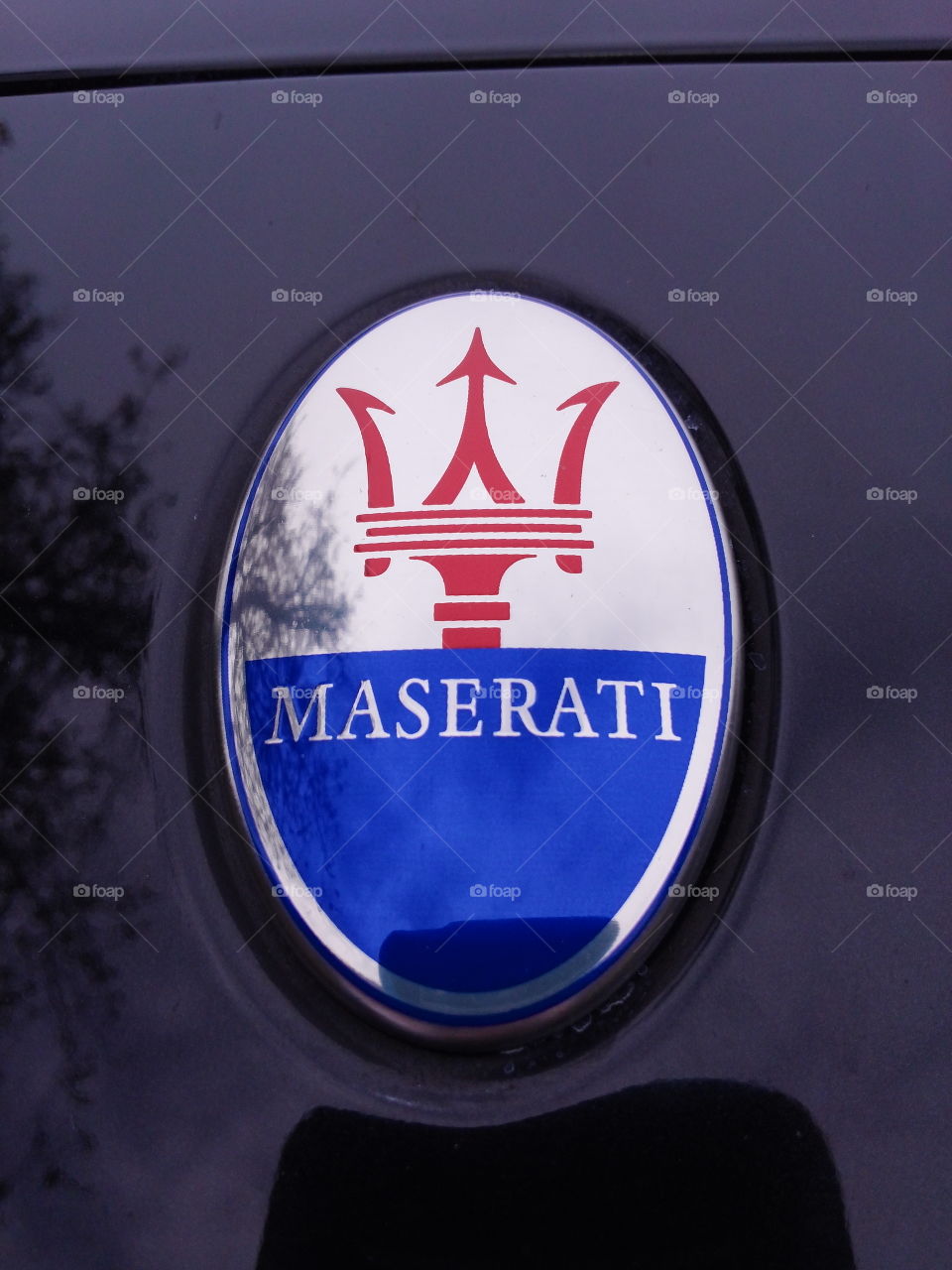 Car emblem