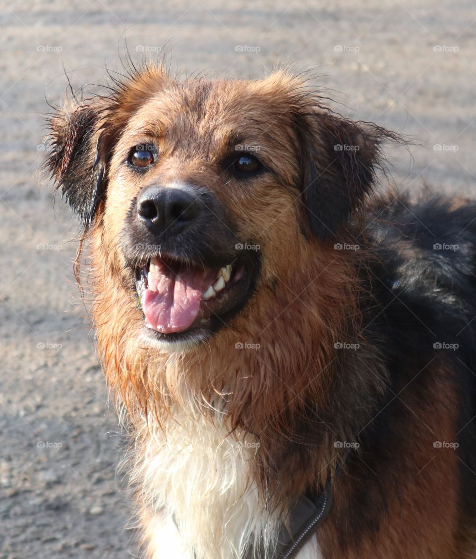 waiting to catch the ball