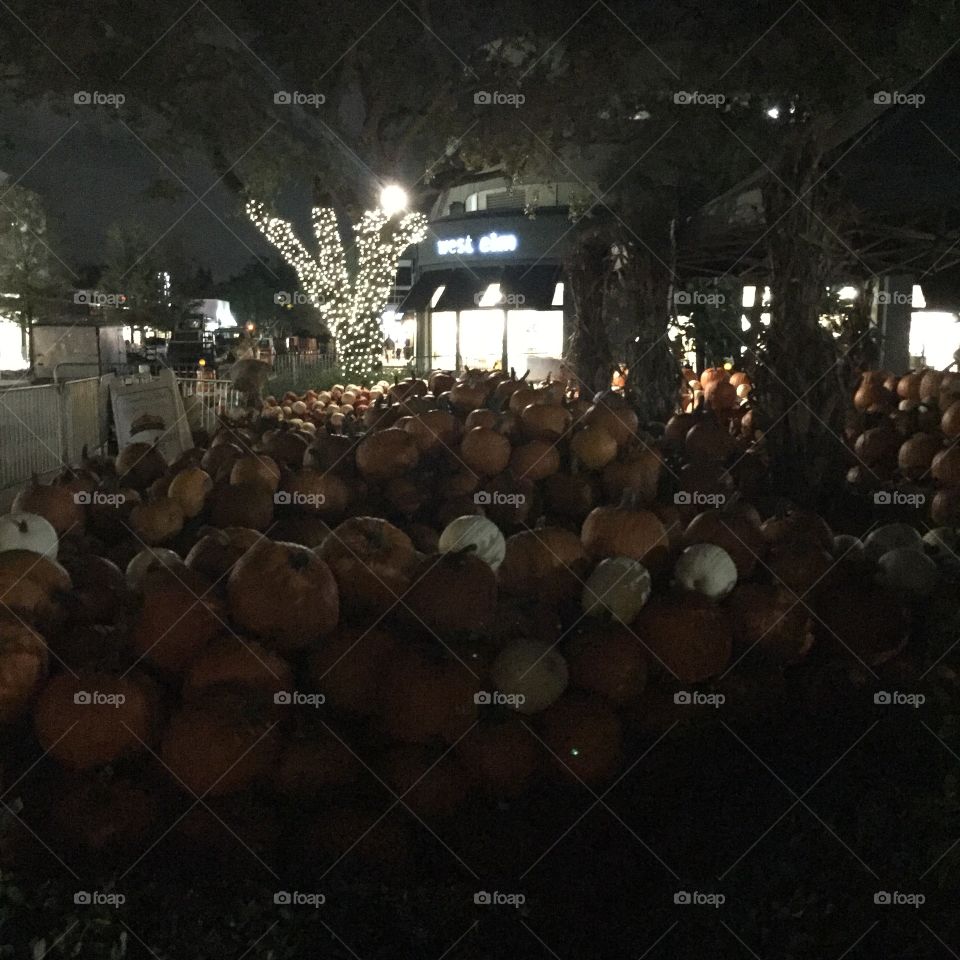 Nighttime casts beautiful light on a small town pumpkin patch