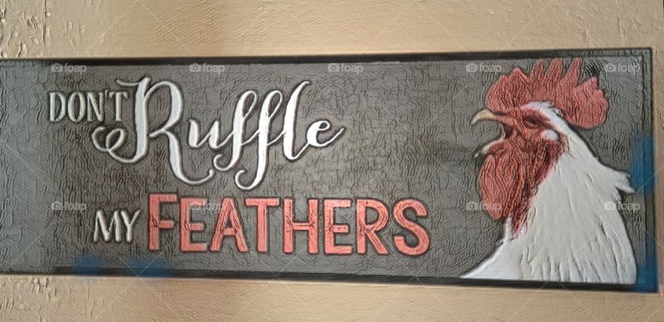 rooster  poster feathers  sign
