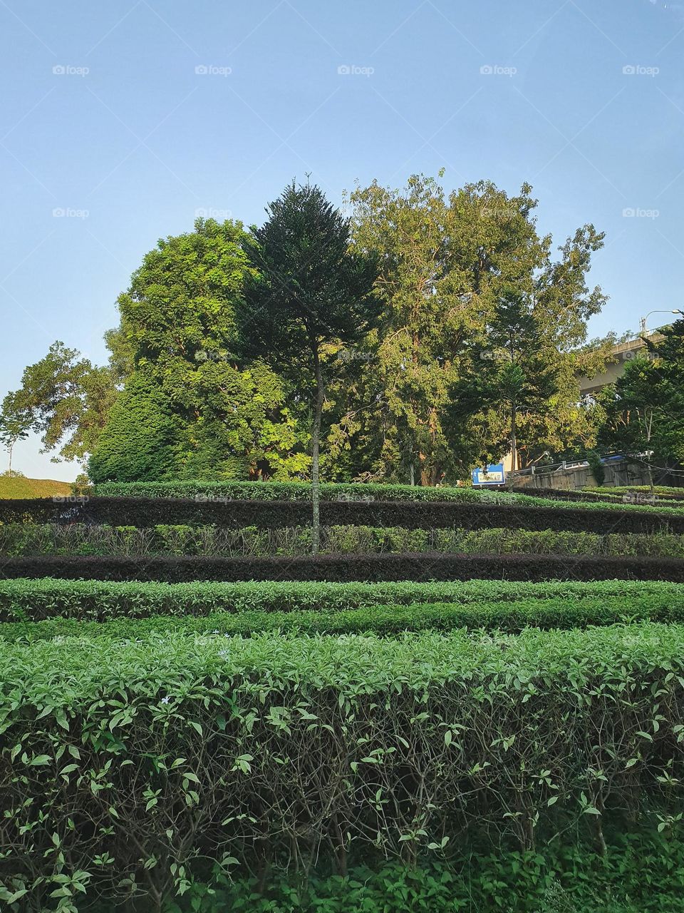 A beautiful landscape