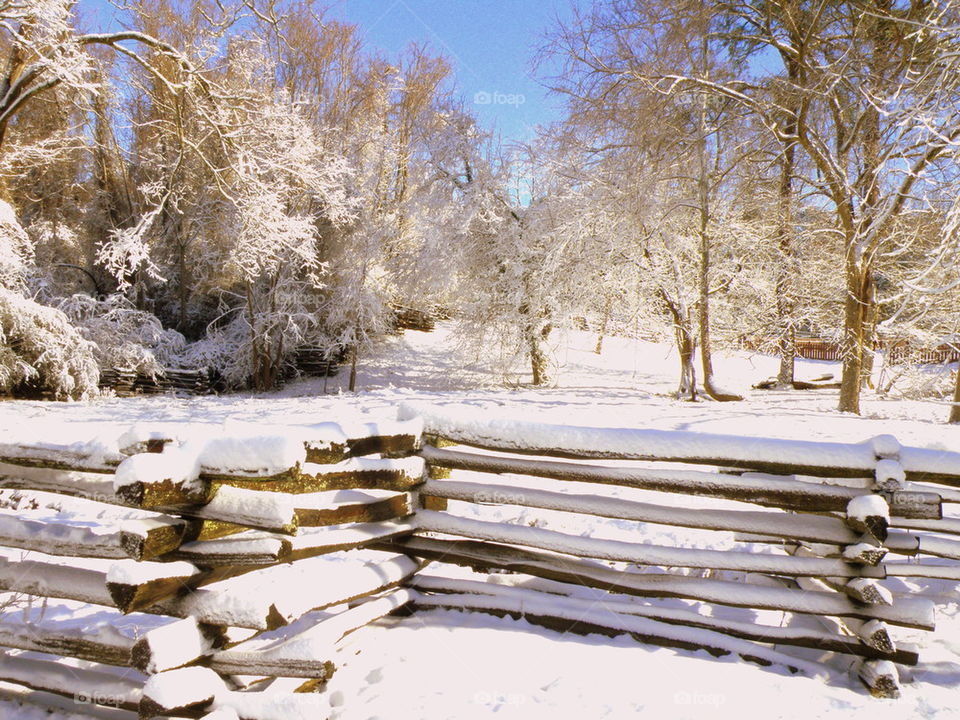 Snowy fence in winter