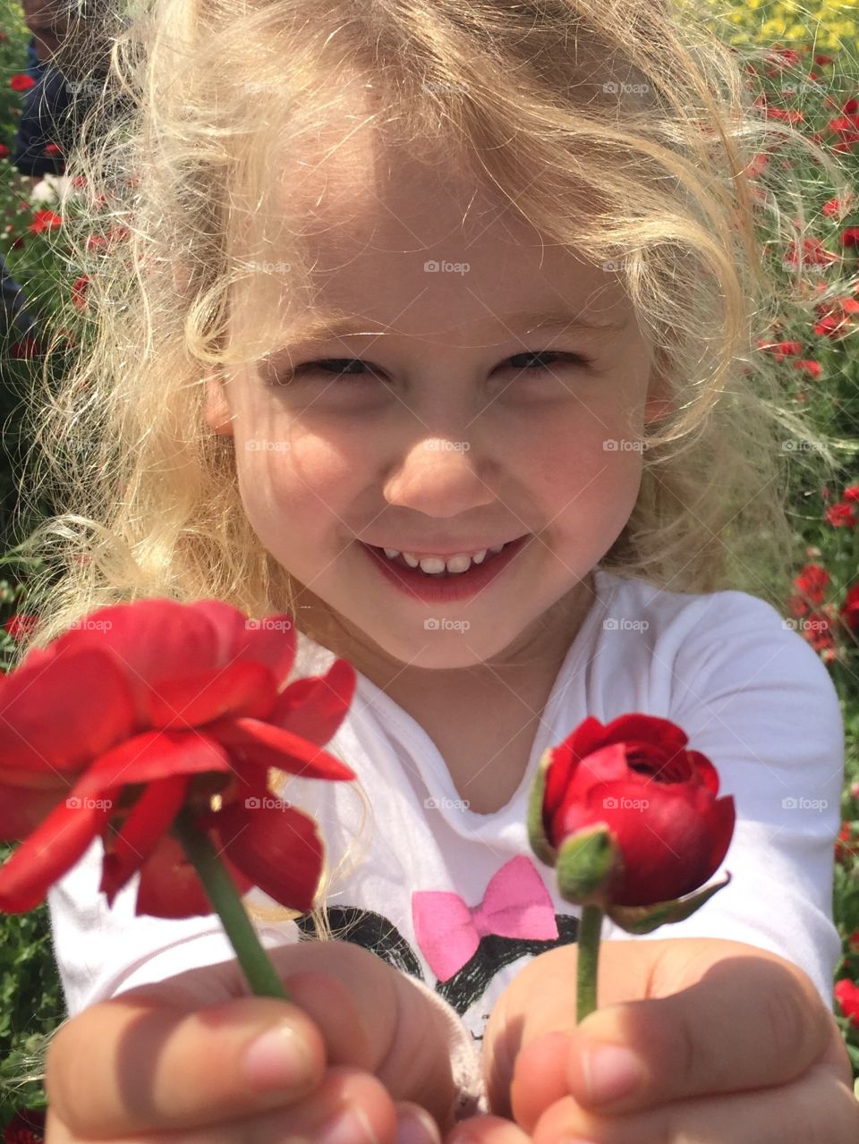 Cute little girl holding rose flowers