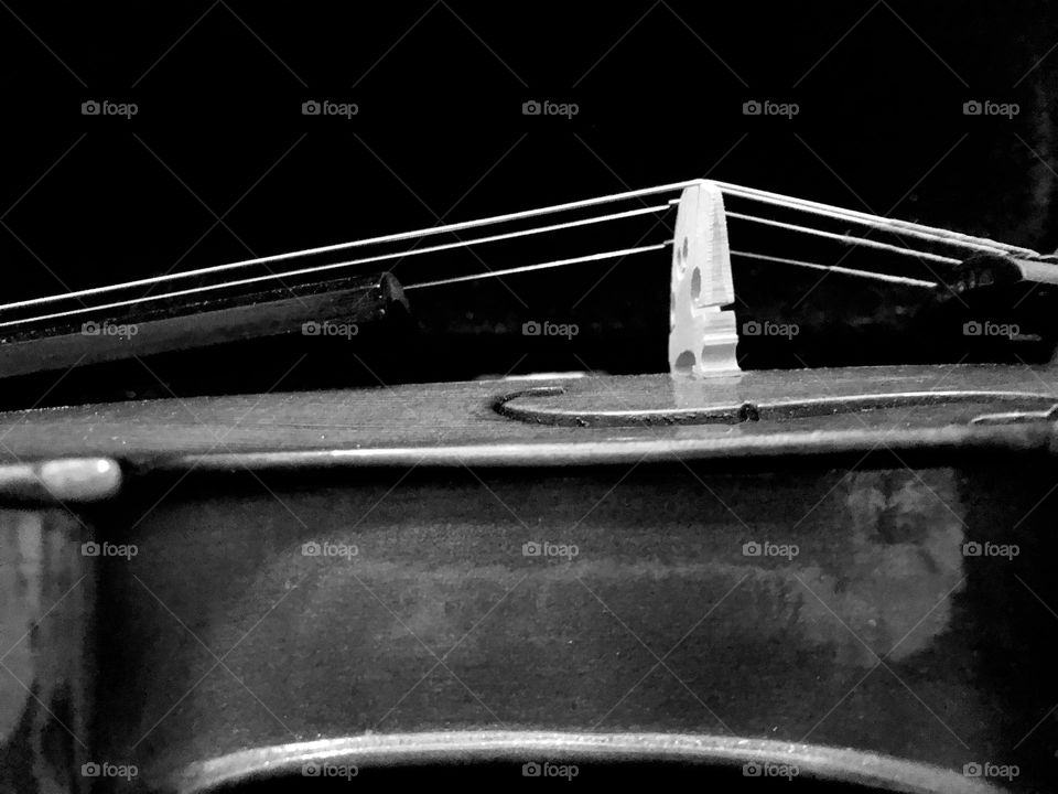 Black and white violin