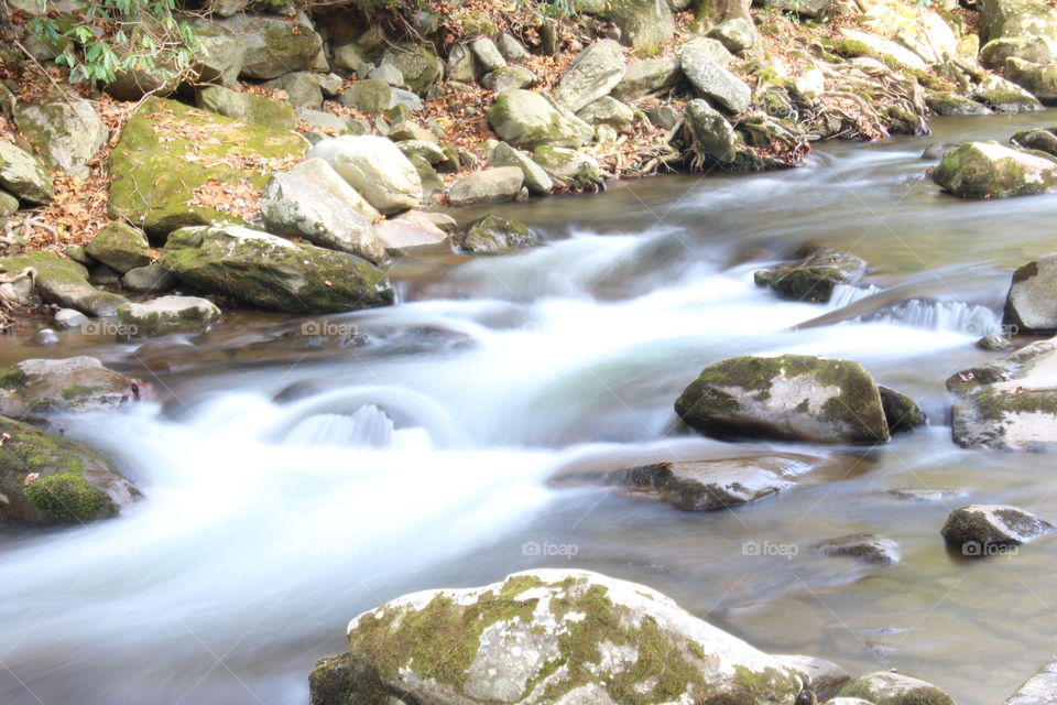 Elkmont stream