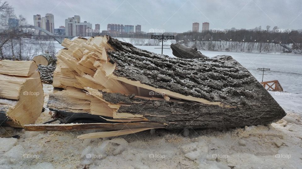 Went for a walk in a near by park. they were cutting some trees in there.