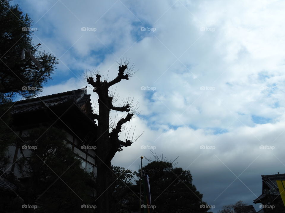 Japanese temple