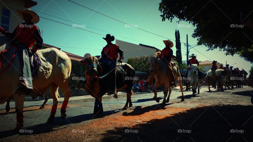 Cavalos, touros e cavaleiros. Cavalgada nas ruas. Evento agropecuario tradicional comemorativo de aniversario da cidade. Cowboys e Cowgirls.