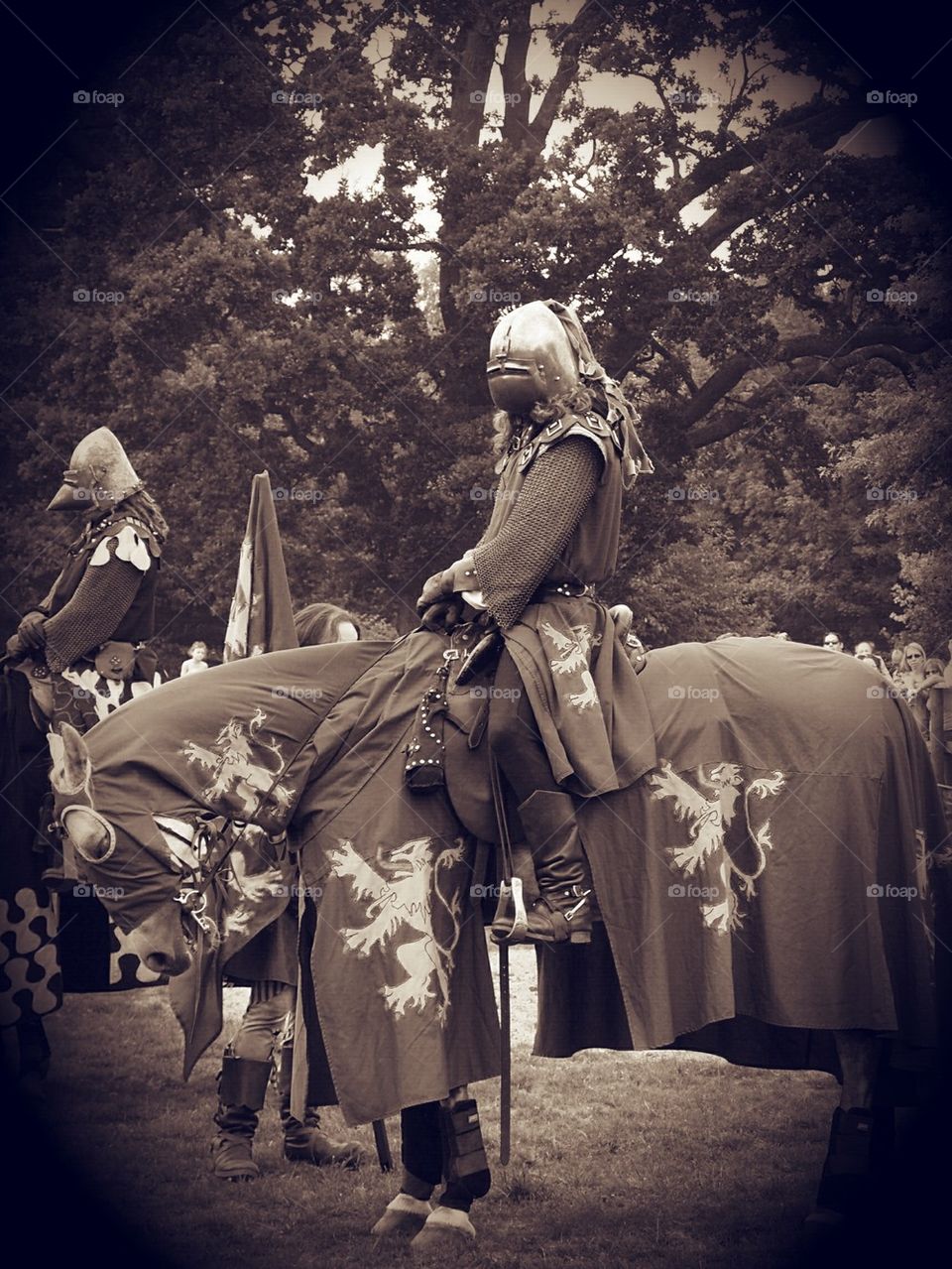 knights in black satin