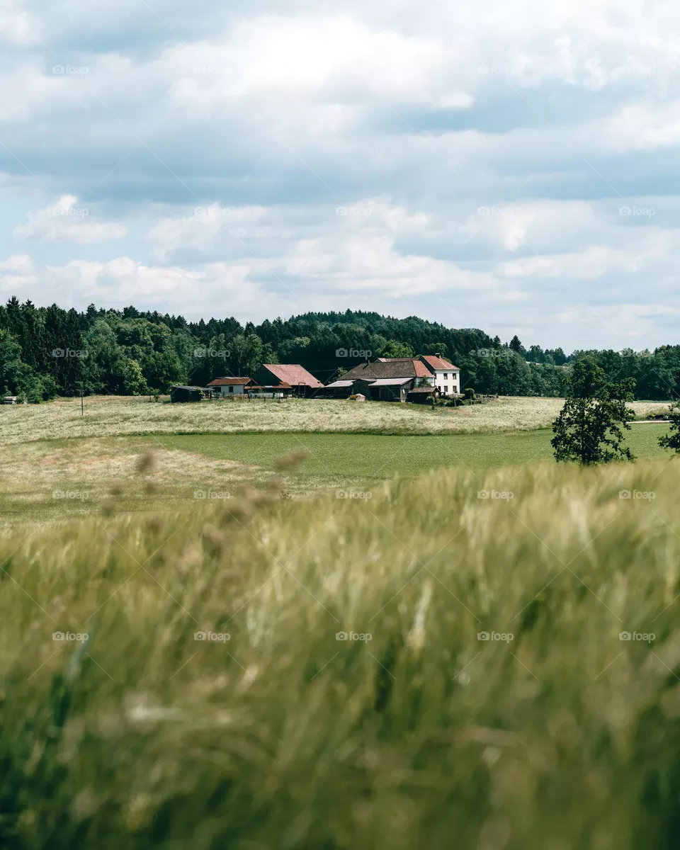 A rural scene with a farm in the center 