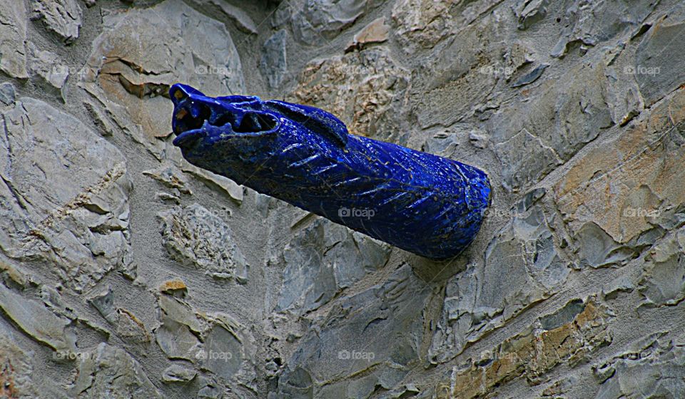 Water management in Italy