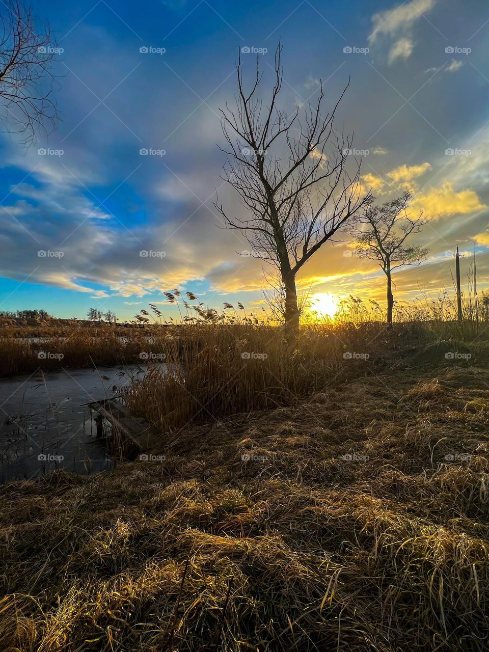Dramatic spring sunset with golden sun and dynamic clouds in a little village with vast fields near the river