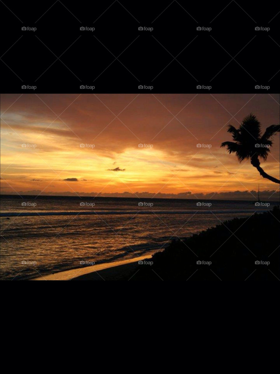 beach sunset paradise palm tree by OstensiblyCilla