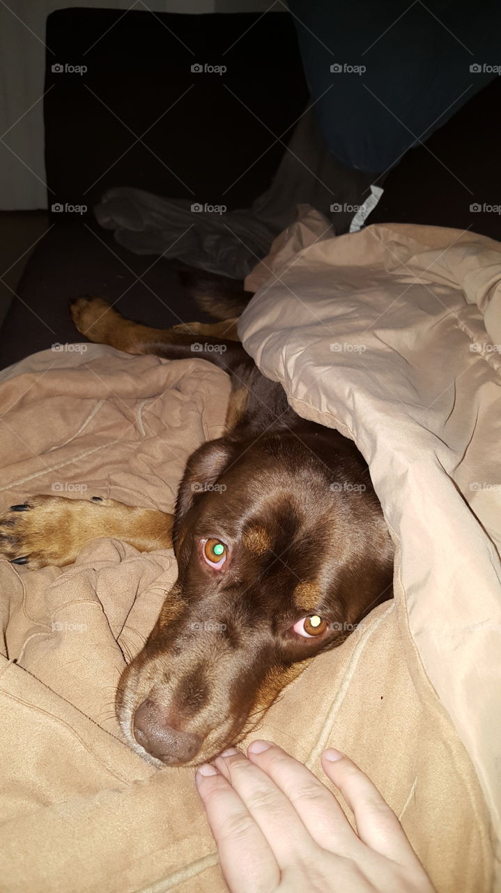 Did you know that it's cold outside?