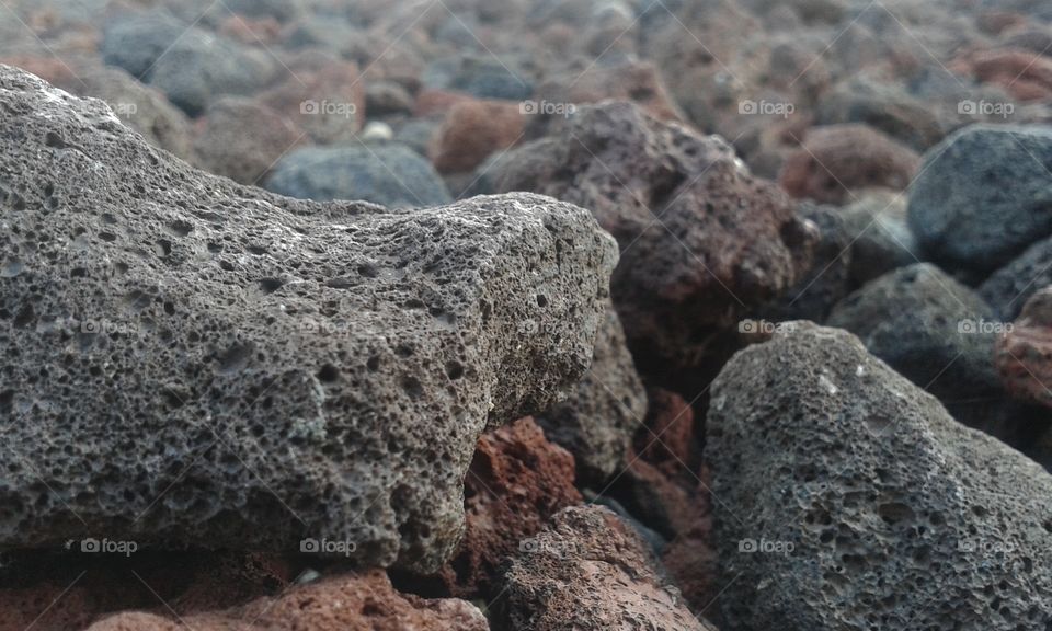 these lava rocks have a beautiful array of grey and some hints of brown.