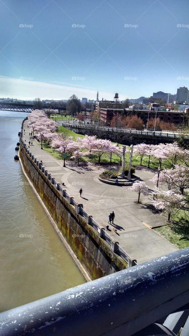 Water, City, Travel, River, Architecture