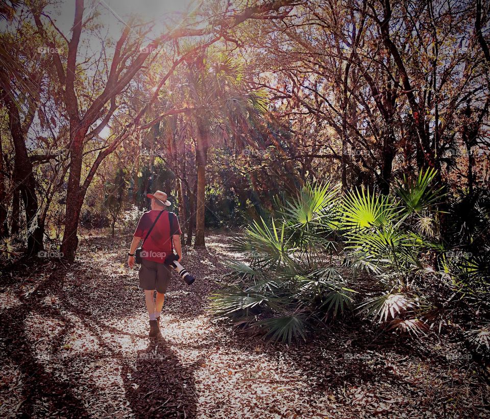 Photographer walking into the woods with sunlight rainbows .