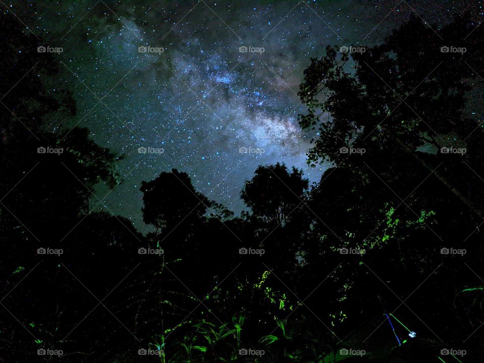 night sky (milkyway)