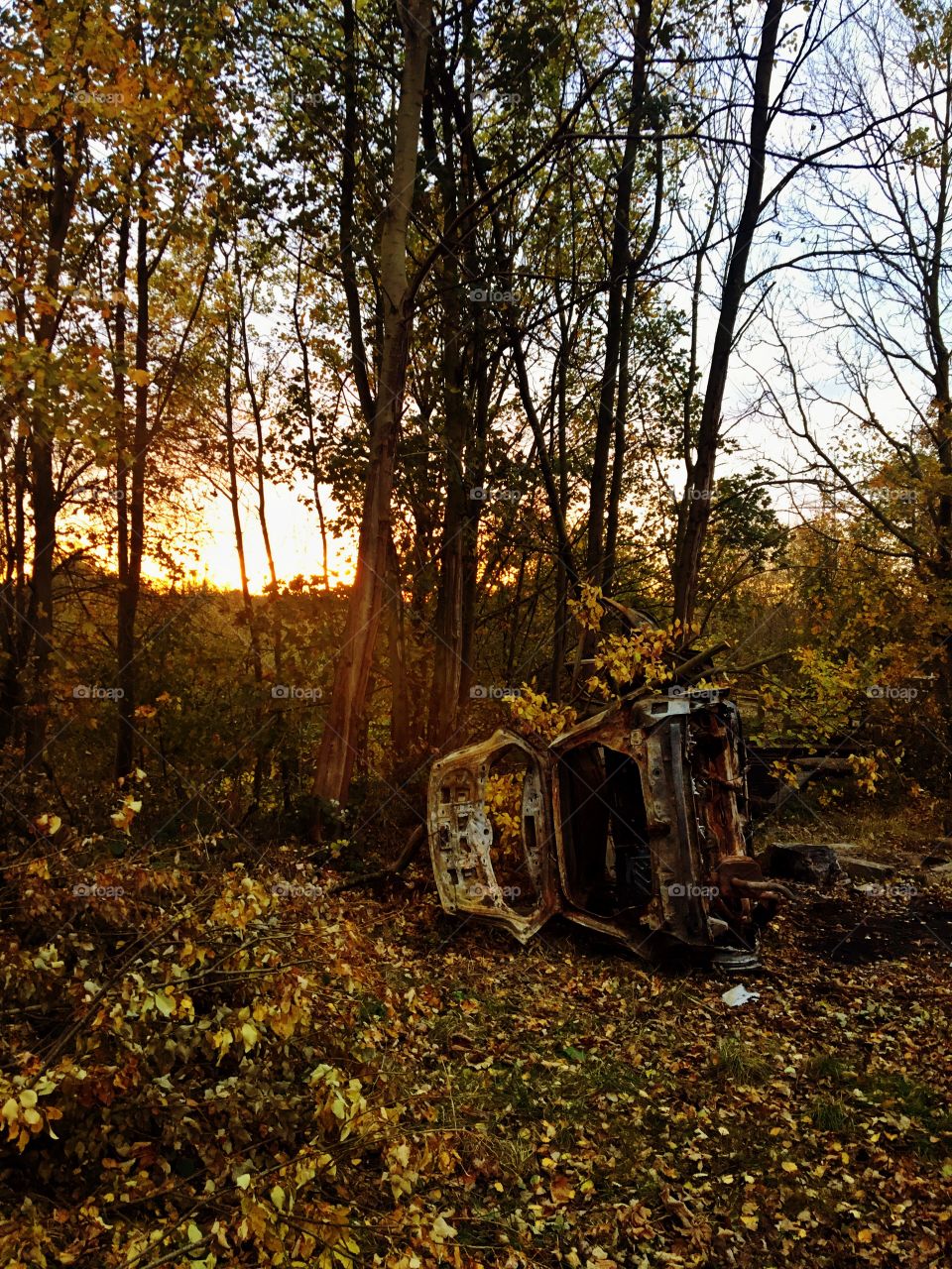 Burned out car in the woods