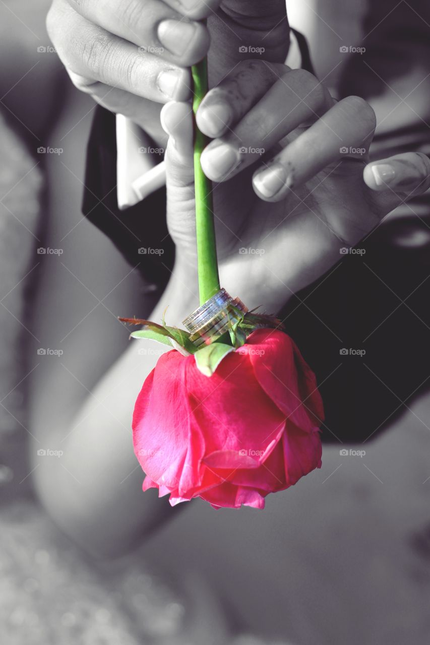 love rose 