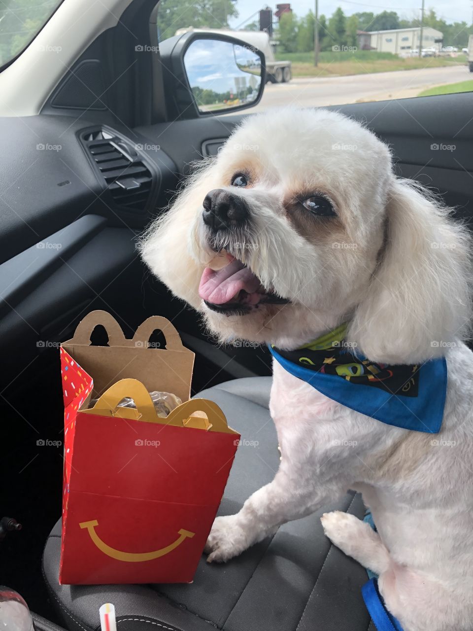 Happy Birthday Gizmo McDonalds 