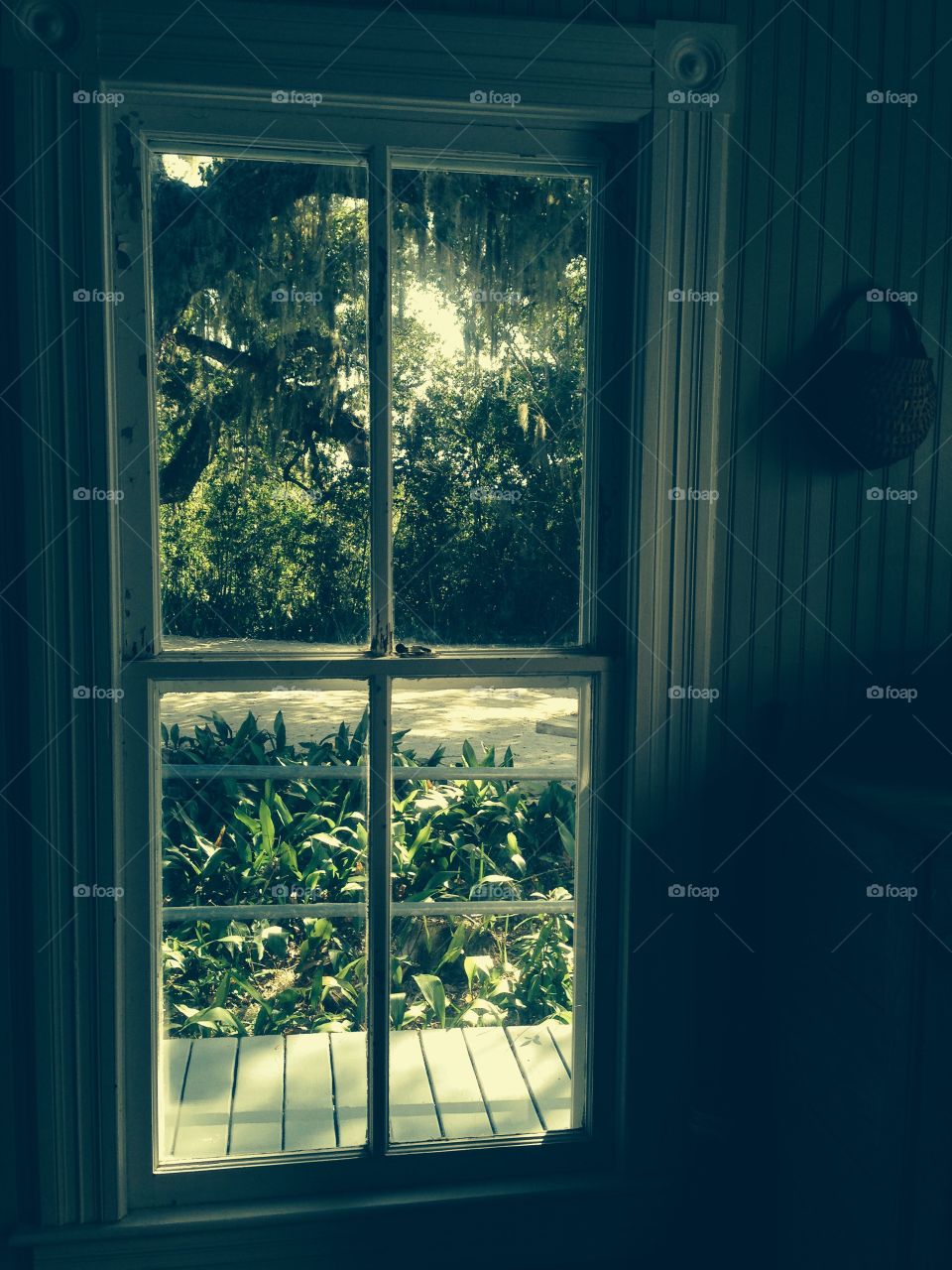 Antique window. Looking out of an antique window .