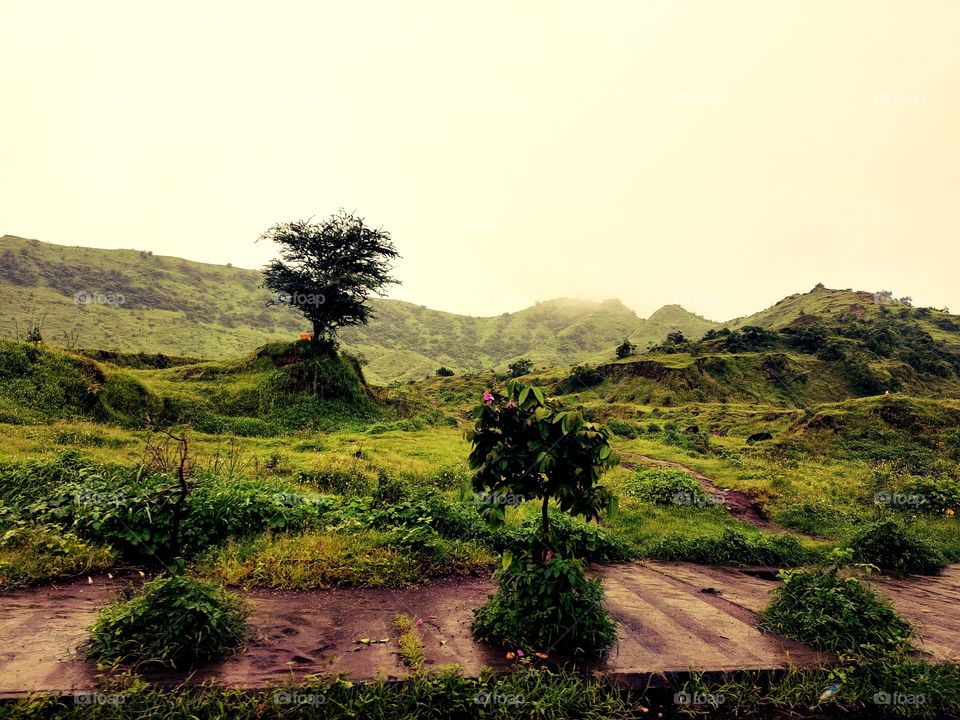 Hill view
Natural beauty
Pleasant cloudy weather🌨️🌩️🌦️💧
Flowers🌸💮🏵️🌹🌺
Bushes🌿🍀☘️
Plants🌱🌳🌳🌵