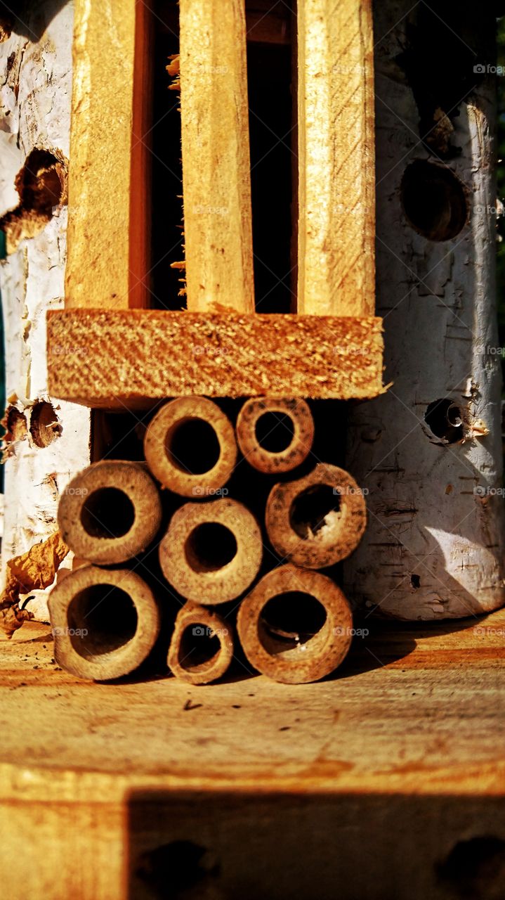 Bug hotel